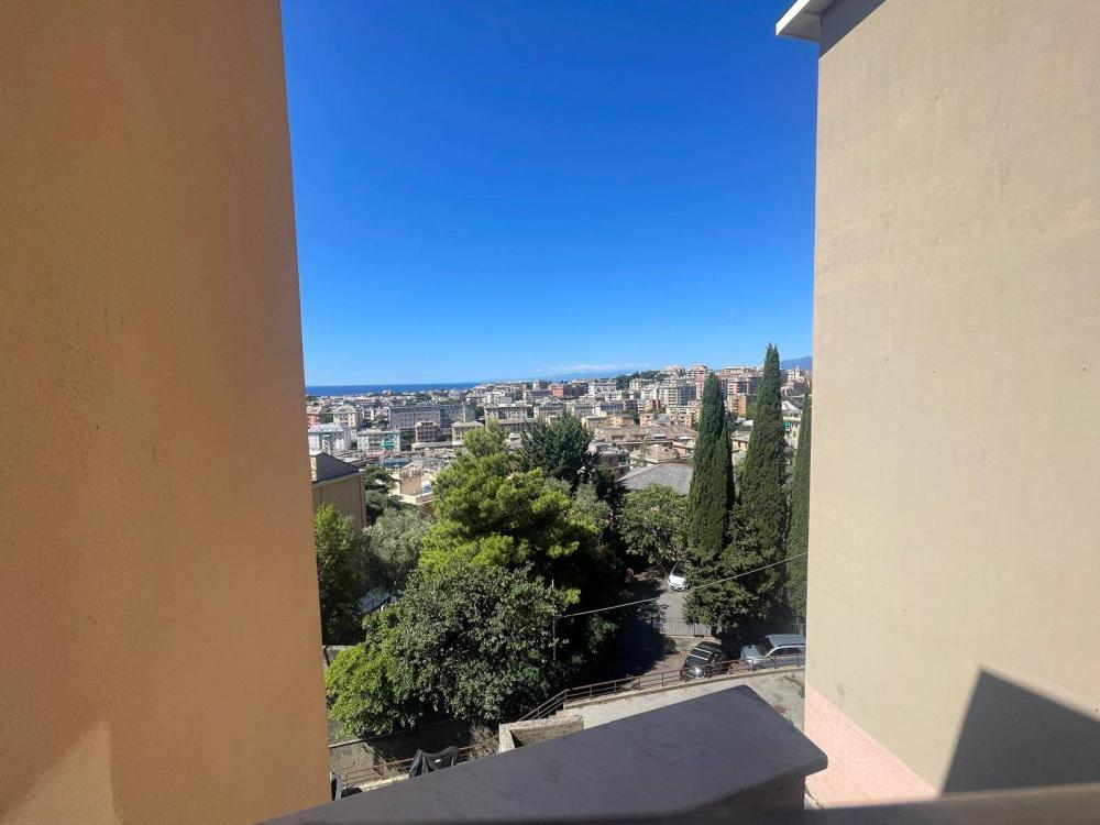 appartamento in affitto a Genova