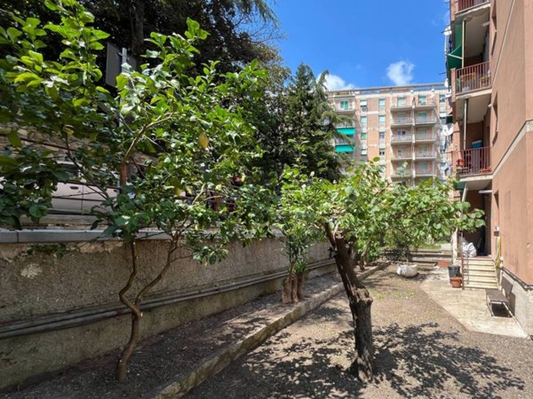 appartamento in affitto a Genova in zona Staglieno