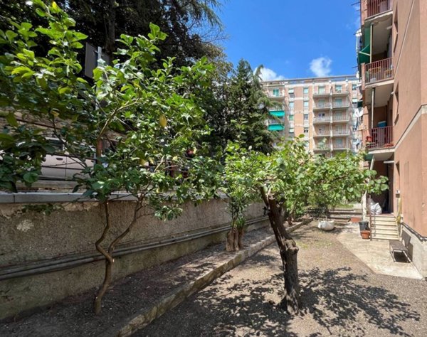 appartamento in affitto a Genova in zona Staglieno
