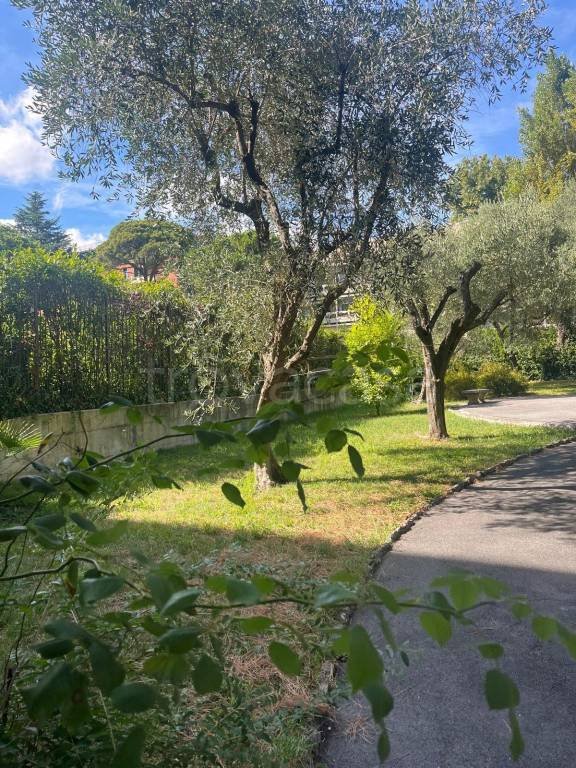appartamento in affitto a Genova in zona Albaro