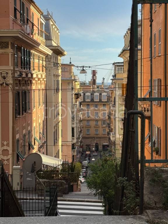 appartamento in affitto a Genova in zona Sampierdarena