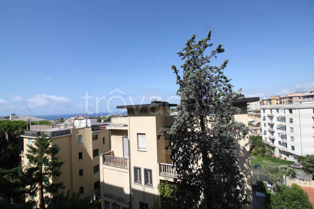 appartamento in affitto a Genova in zona Albaro
