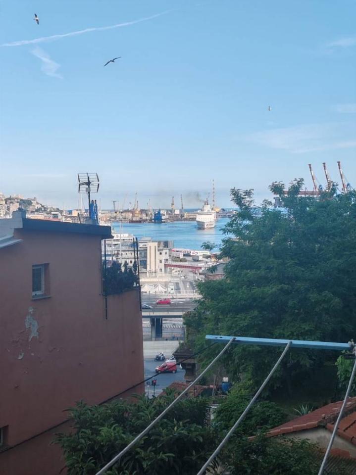 appartamento in affitto a Genova in zona DiNegro