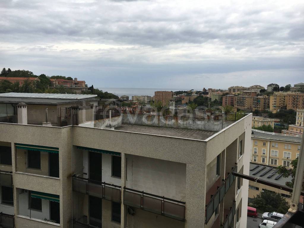 appartamento in affitto a Genova