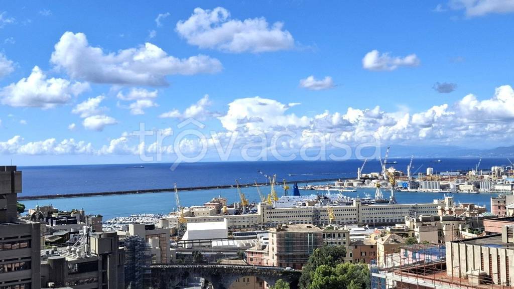 appartamento in affitto a Genova in zona Centro Storico