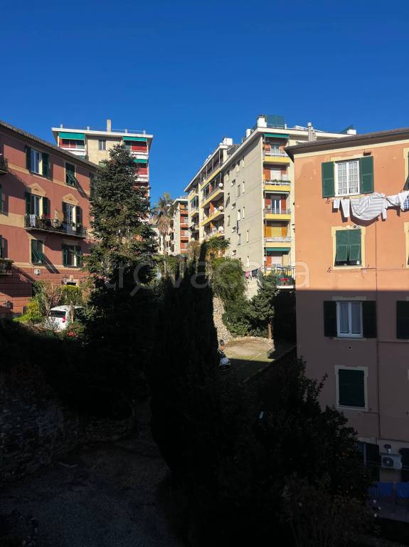 appartamento in affitto a Genova