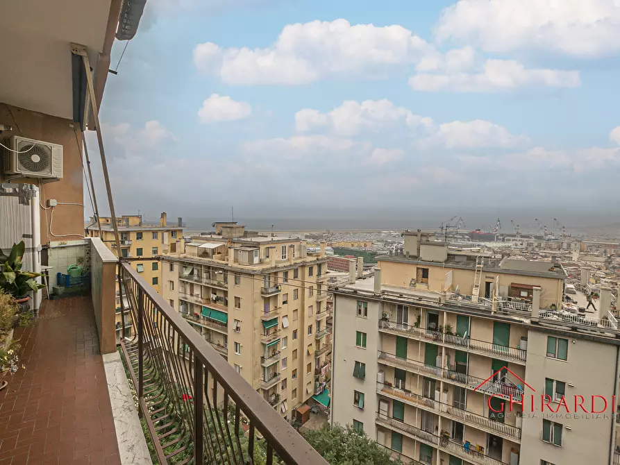 appartamento in affitto a Genova