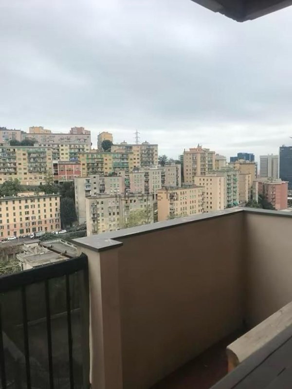 appartamento in affitto a Genova in zona Sampierdarena