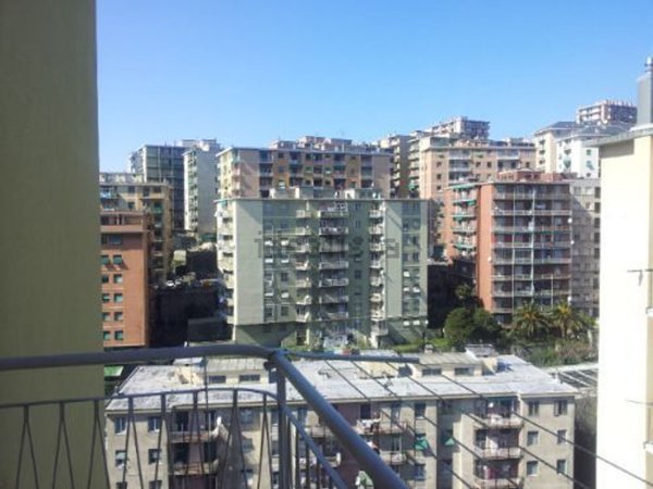 appartamento in affitto a Genova