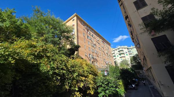 appartamento in affitto a Genova