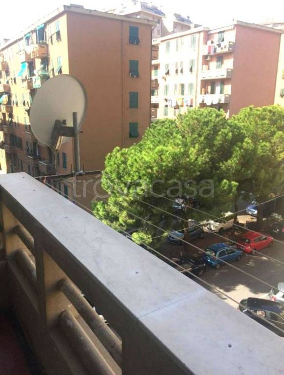 appartamento in affitto a Genova in zona Sestri Ponente