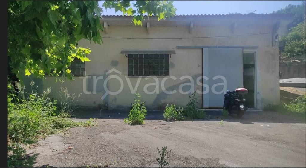 locale commerciale in affitto a Genova in zona Bavari