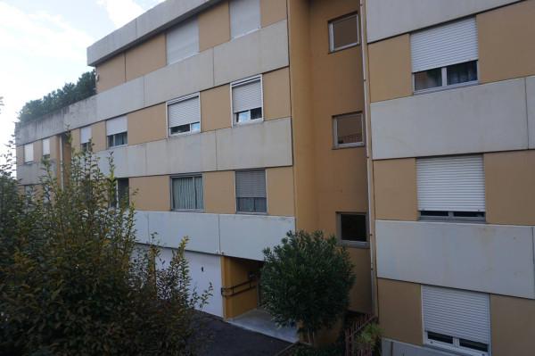 appartamento in affitto a Genova in zona Sampierdarena