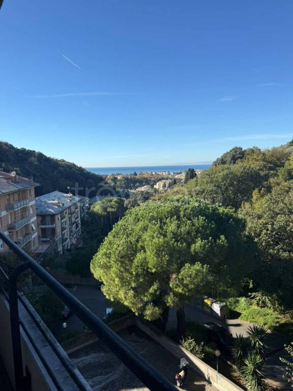 appartamento in affitto a Genova