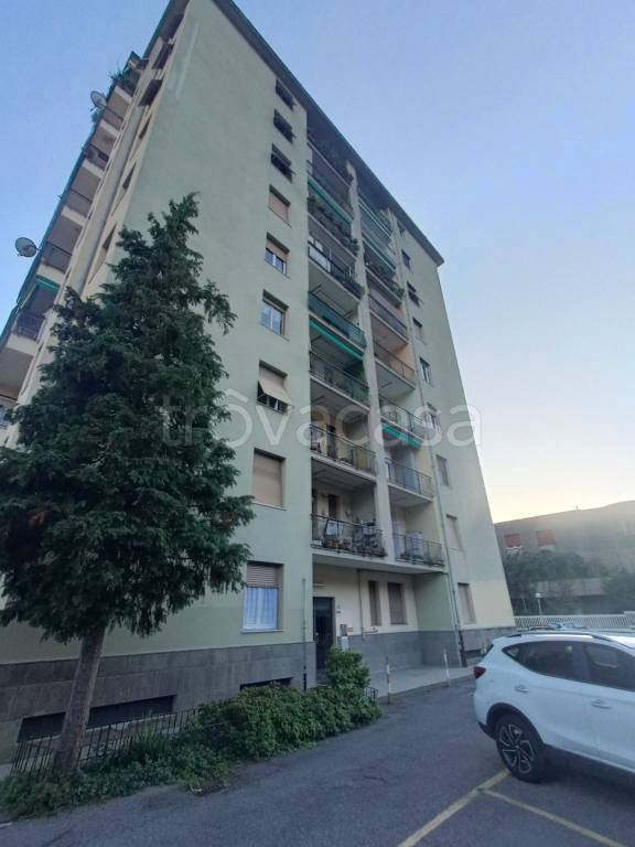 appartamento in affitto a Genova in zona Struppa