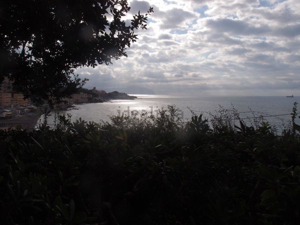 appartamento in affitto a Genova in zona Sturla