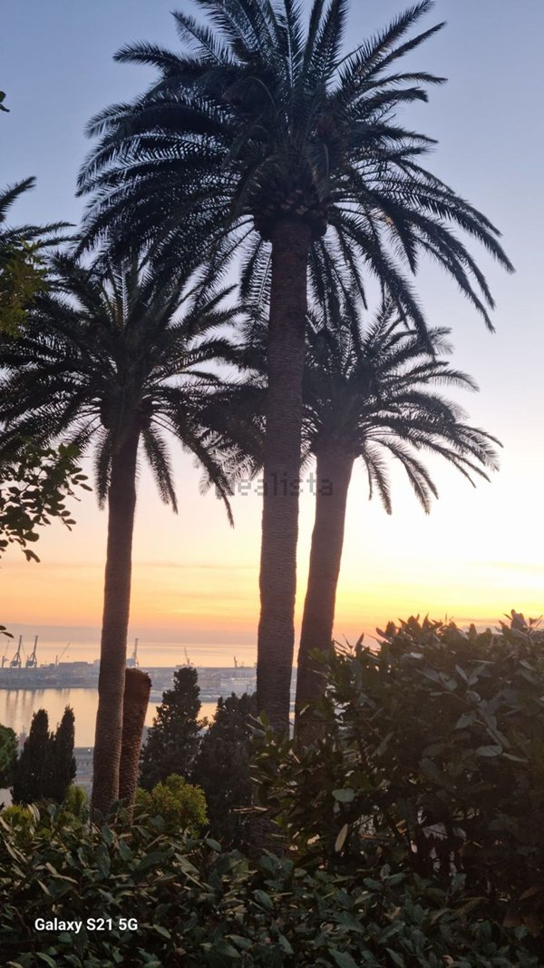 appartamento in affitto a Genova in zona Lagaccio / Granarolo