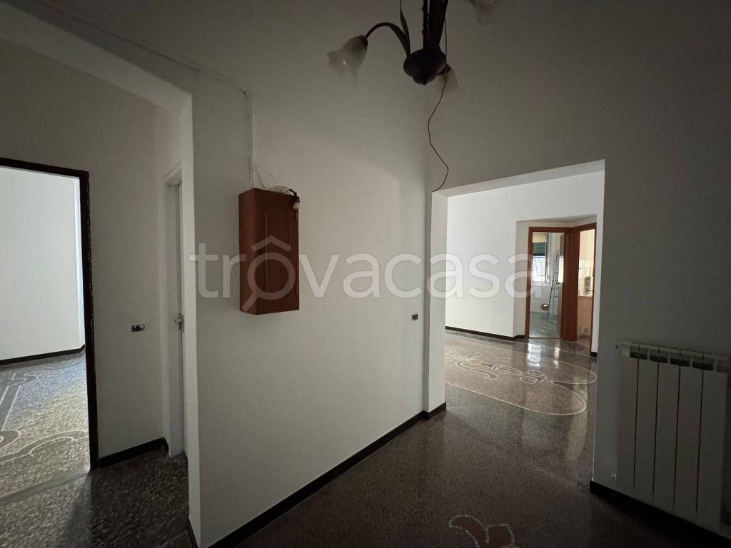 appartamento in affitto a Genova in zona Sampierdarena