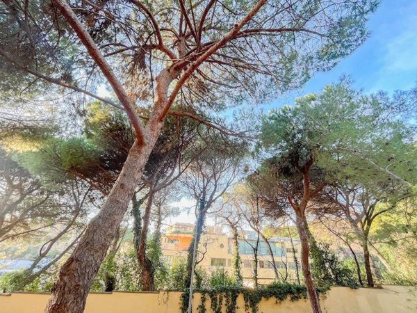 appartamento in affitto a Genova in zona Albaro