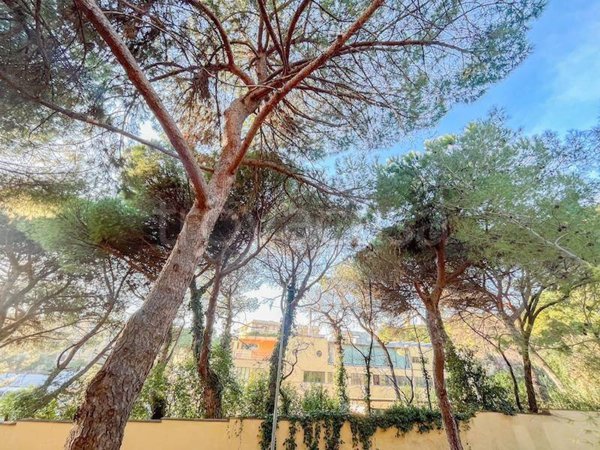 appartamento in affitto a Genova in zona Albaro