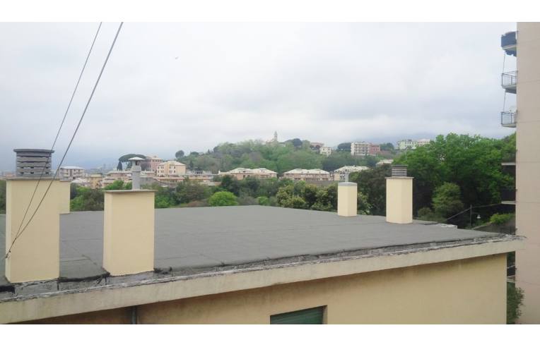 appartamento in affitto a Genova in zona Sampierdarena