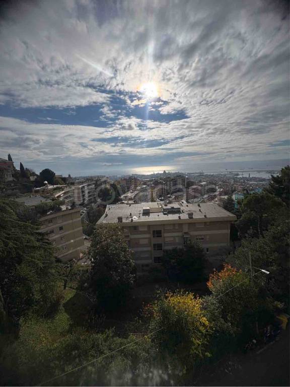 appartamento in affitto a Genova in zona Castelletto
