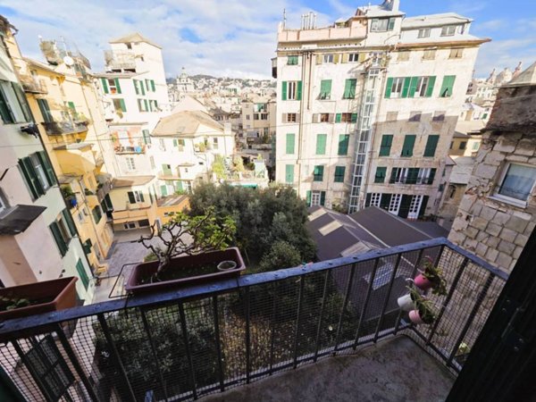 appartamento in affitto a Genova in zona Centro Storico