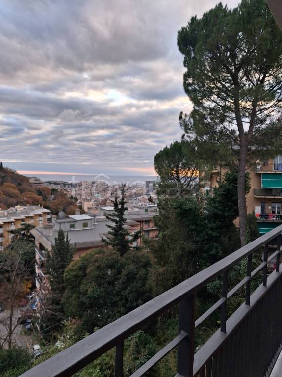 appartamento in affitto a Genova in zona Marassi