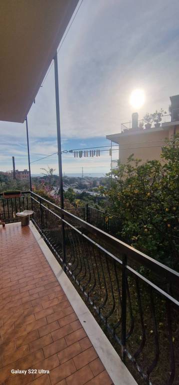 appartamento in affitto a Genova