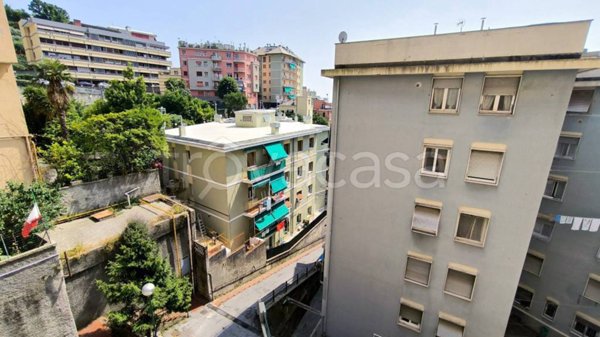 appartamento in affitto a Genova