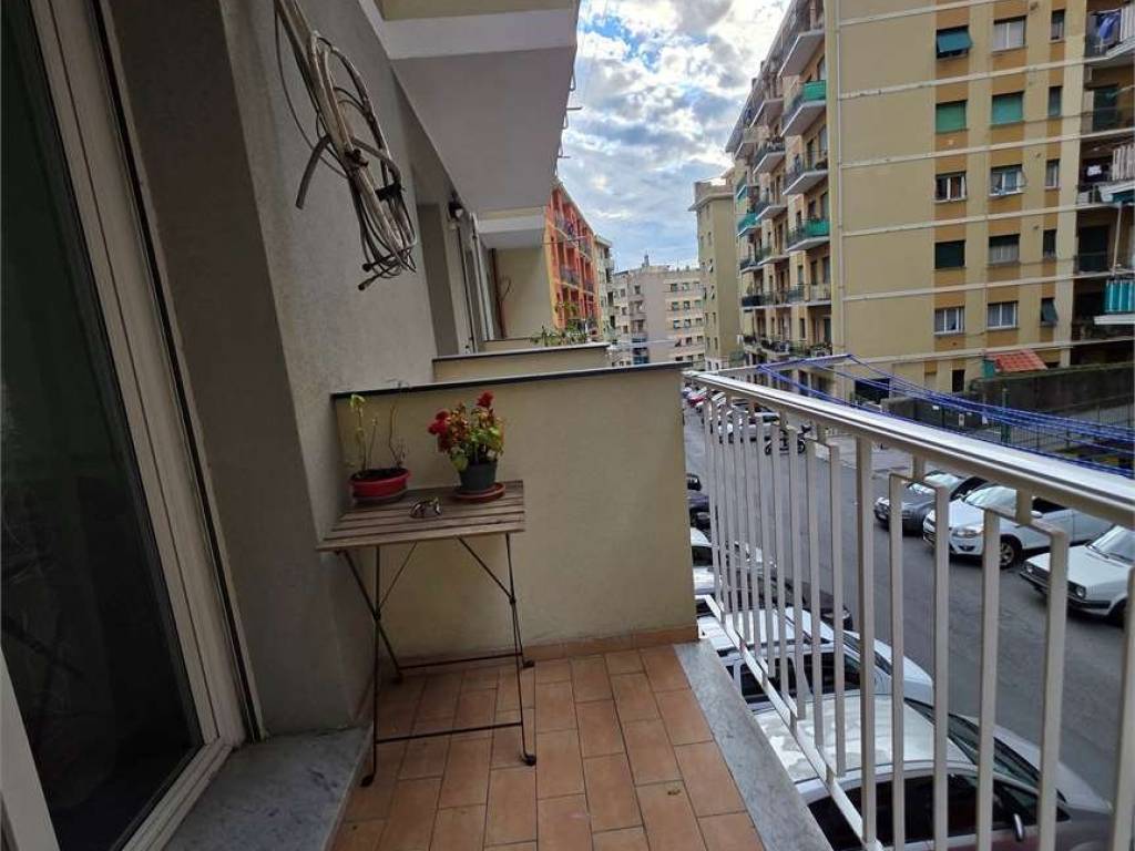 appartamento in affitto a Genova in zona Sampierdarena