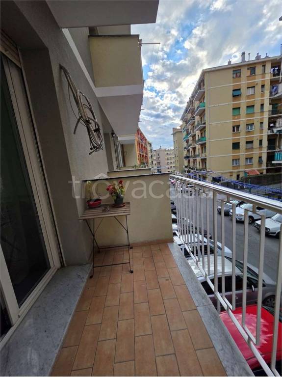 appartamento in affitto a Genova in zona Sampierdarena