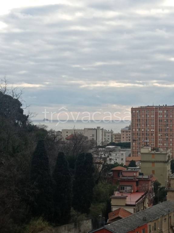 appartamento in affitto a Genova in zona San Martino