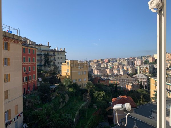 appartamento in affitto a Genova