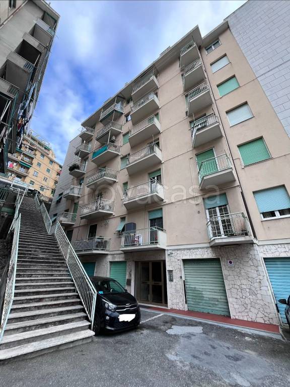 appartamento in affitto a Genova in zona Lagaccio / Granarolo