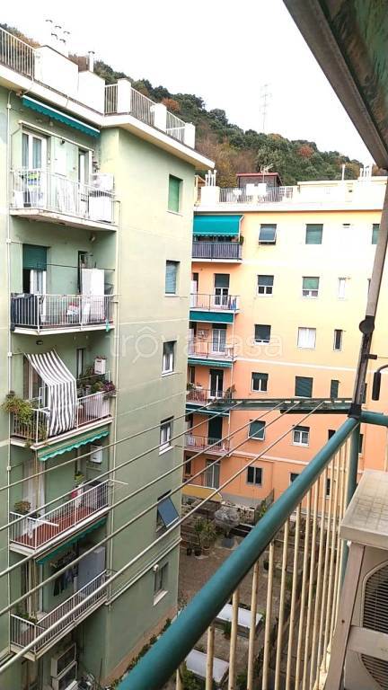 appartamento in affitto a Genova in zona San Teodoro