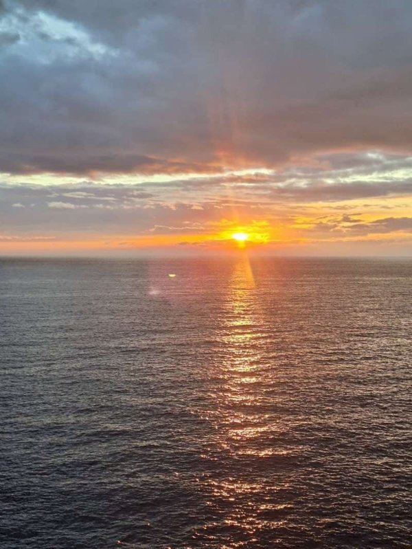 appartamento in affitto a Genova