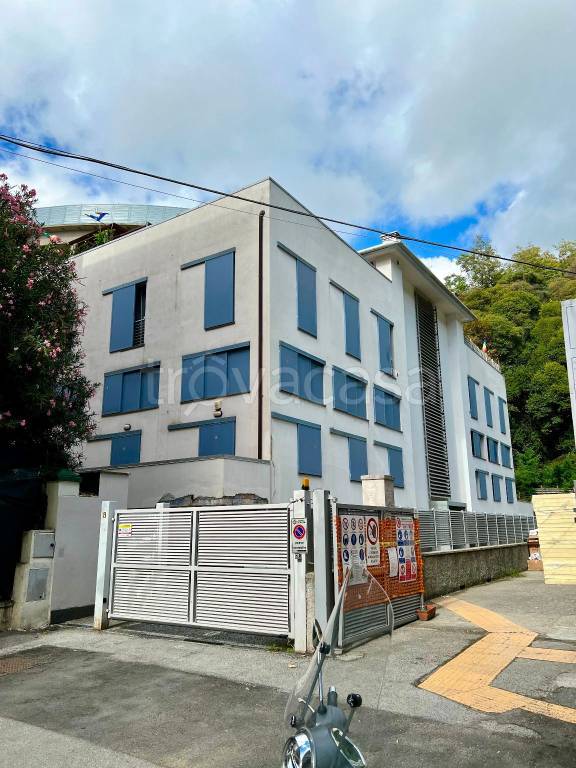 appartamento in affitto a Genova in zona Sampierdarena