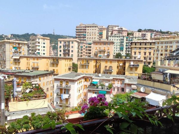 appartamento in affitto a Genova in zona Lagaccio / Granarolo