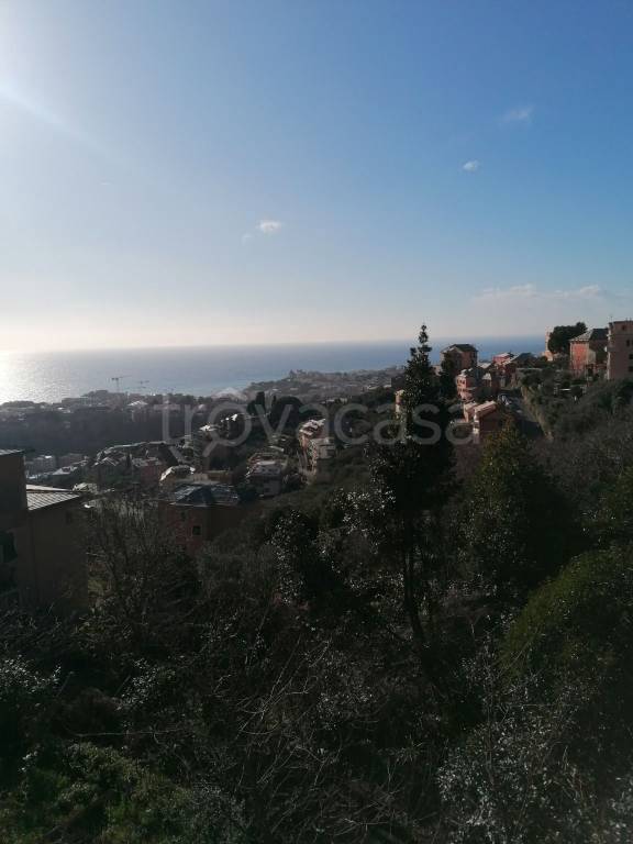 appartamento in affitto a Genova in zona Apparizione