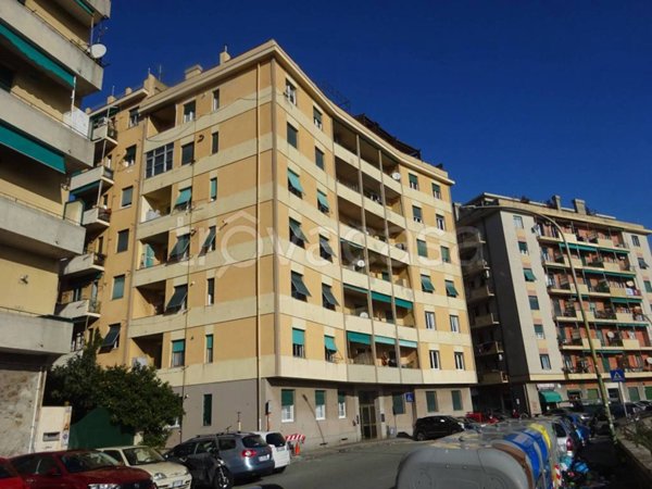 appartamento in affitto a Genova in zona Lagaccio / Granarolo