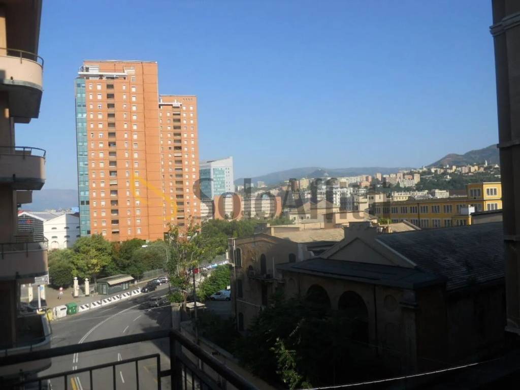 appartamento in affitto a Genova in zona Sampierdarena