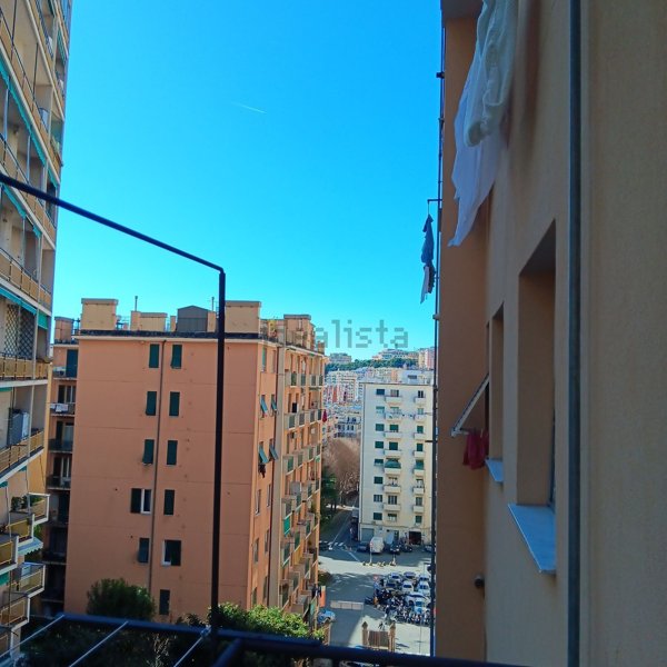 appartamento in affitto a Genova in zona Marassi