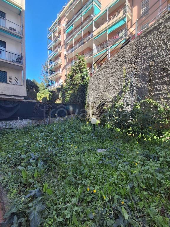 appartamento in affitto a Genova