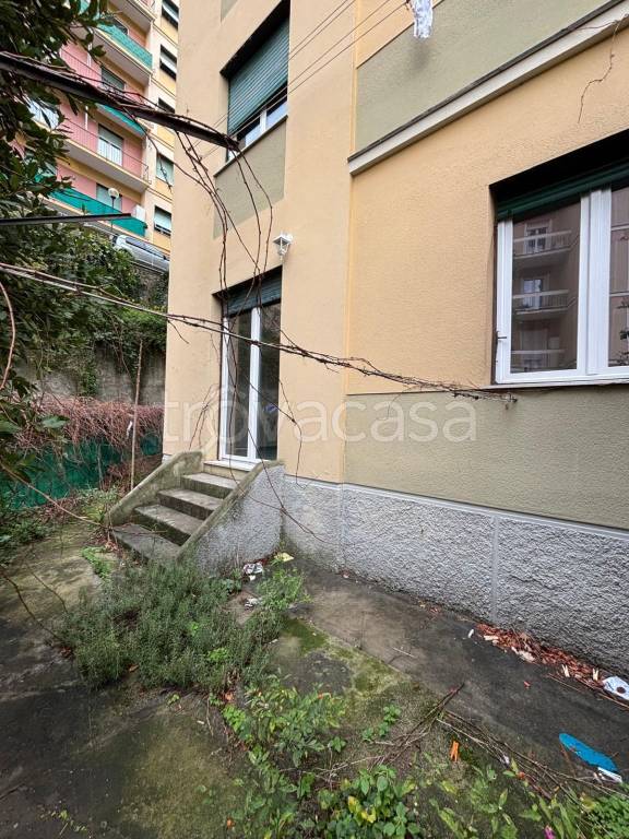 appartamento in affitto a Genova