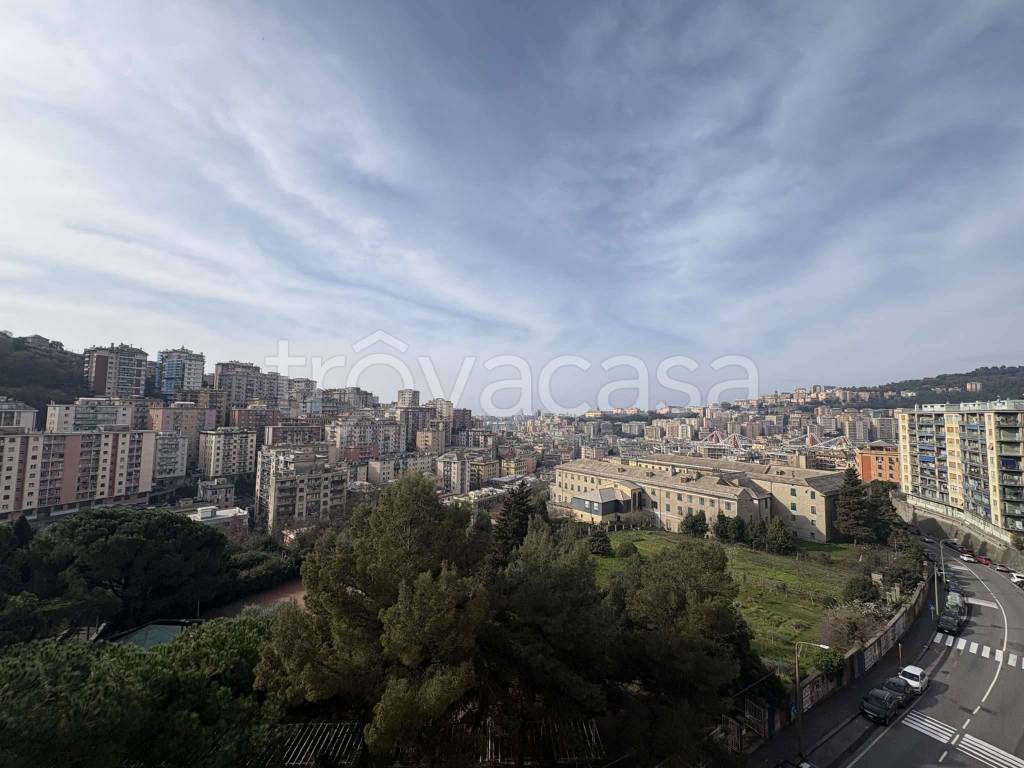 appartamento in affitto a Genova in zona Marassi