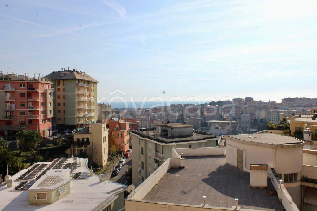 immagine annuncio 0 di 15