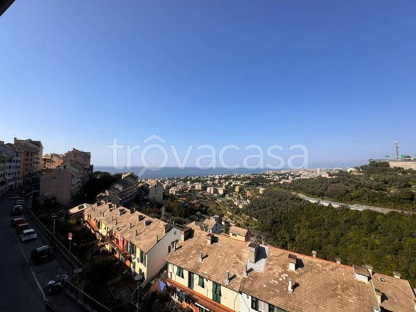 appartamento in affitto a Genova