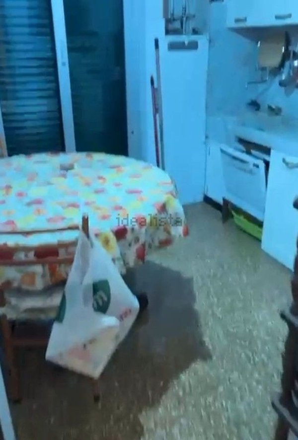 appartamento in affitto a Genova in zona San Fruttuoso