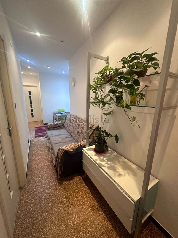 appartamento in affitto a Genova in zona Staglieno